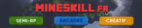 Mineskill.fr