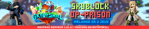 Banniere du serveur minecraft SKYOFSKILL - SKYBLOCK x PRISON