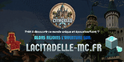 serveur minecraft