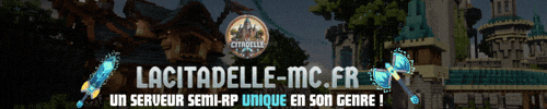serveur minecraft