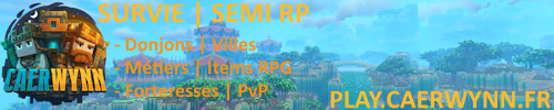 Banniere du serveur minecraft Caerwynn