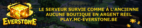Banniere du serveur minecraft Everstone