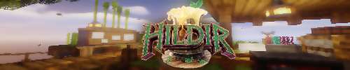 Banniere du serveur minecraft Hildir SkyBlock Viking