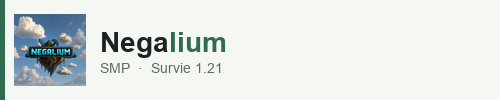 Banniere du serveur minecraft negalium SMP