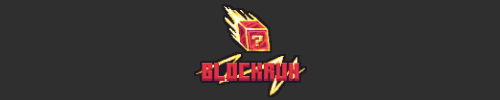 Banniere du serveur minecraft Blockrun - Serveur Speedrun FR