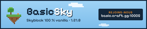 Banniere du serveur minecraft Basic