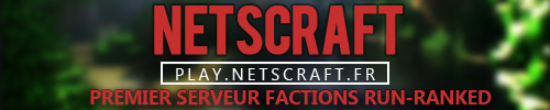 NetsCraft 